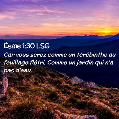 Picture 02 - Ésaïe 1:30 LSG - Car vous serez comme un térébinthe au feuillage - Bible Verse Picture