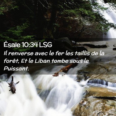 Picture 02 - Ésaïe 10:34 LSG - Il renverse avec le fer les taillis de la forêt, - Bible Verse Picture