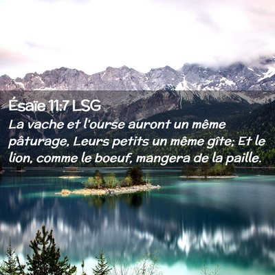 Picture 02 - Ésaïe 11:7 LSG - La vache et l'ourse auront un même pâturage, - Bible Verse Picture