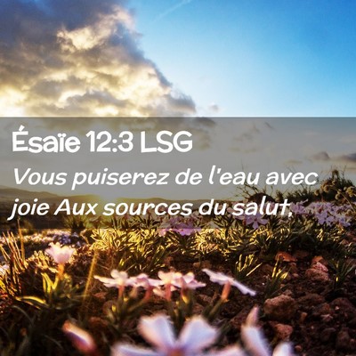 Picture 02 - Ésaïe 12:3 LSG - Vous puiserez de l'eau avec joie Aux sources du - Bible Verse Picture