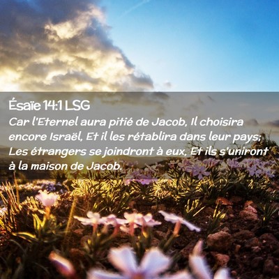 Picture 02 - Ésaïe 14:1 LSG - Car l'Eternel aura pitié de Jacob, Il choisira - Bible Verse Picture