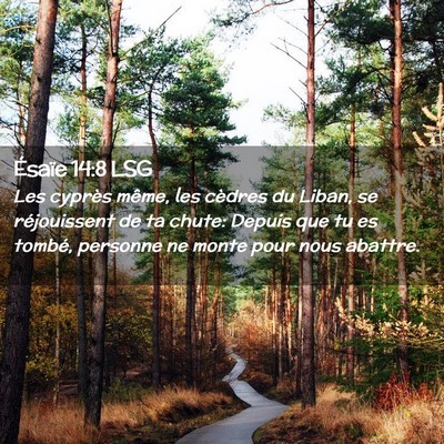 Picture 02 - Ésaïe 14:8 LSG - Les cyprès même, les cèdres du Liban, se - Bible Verse Picture