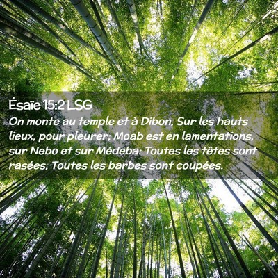 Picture 02 - Ésaïe 15:2 LSG - On monte au temple et à Dibon, Sur les hauts - Bible Verse Picture