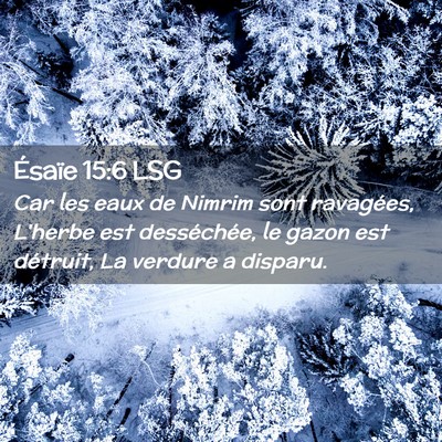 Picture 02 - Ésaïe 15:6 LSG - Car les eaux de Nimrim sont ravagées, L'herbe - Bible Verse Picture