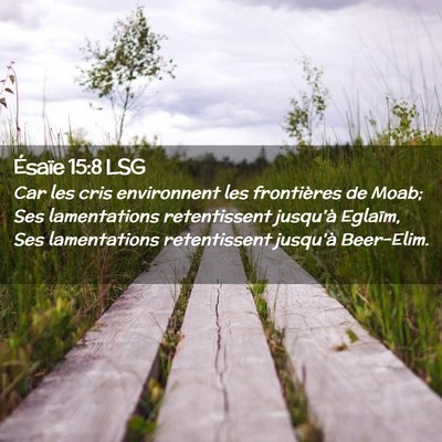Picture 02 - Ésaïe 15:8 LSG - Car les cris environnent les frontières de Moab; - Bible Verse Picture