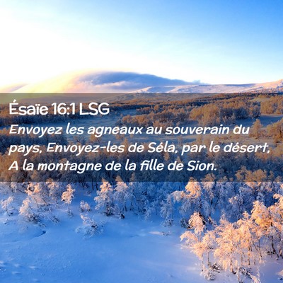 Picture 02 - Ésaïe 16:1 LSG - Envoyez les agneaux au souverain du pays, - Bible Verse Picture