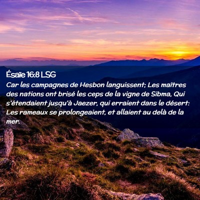 Picture 02 - Ésaïe 16:8 LSG - Car les campagnes de Hesbon languissent; Les - Bible Verse Picture