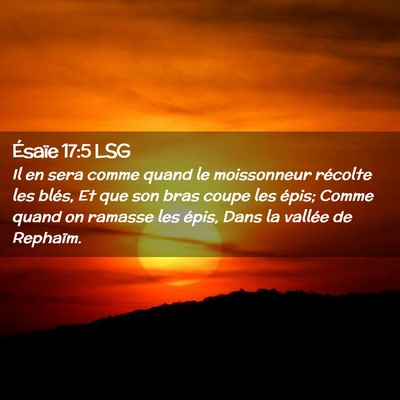 Picture 02 - Ésaïe 17:5 LSG - Il en sera comme quand le moissonneur récolte - Bible Verse Picture