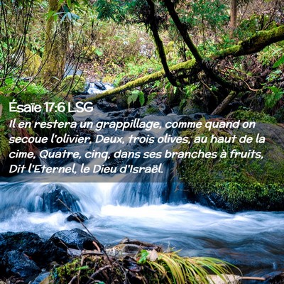 Picture 02 - Ésaïe 17:6 LSG - Il en restera un grappillage, comme quand on - Bible Verse Picture