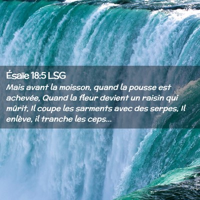 Picture 02 - Ésaïe 18:5 LSG - Mais avant la moisson, quand la pousse est - Bible Verse Picture