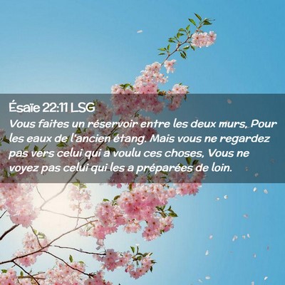 Picture 02 - Ésaïe 22:11 LSG - Vous faites un réservoir entre les deux murs, - Bible Verse Picture