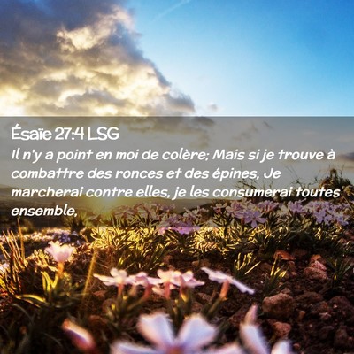 Picture 02 - Ésaïe 27:4 LSG - Il n'y a point en moi de colère; Mais si je - Bible Verse Picture