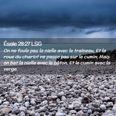 Picture 02 - Ésaïe 28:27 LSG - On ne foule pas la nielle avec le traîneau, Et - Bible Verse Picture