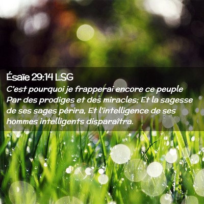 Picture 02 - Ésaïe 29:14 LSG - C'est pourquoi je frapperai encore ce peuple Par - Bible Verse Picture