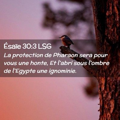 Picture 02 - Ésaïe 30:3 LSG - La protection de Pharaon sera pour vous une - Bible Verse Picture