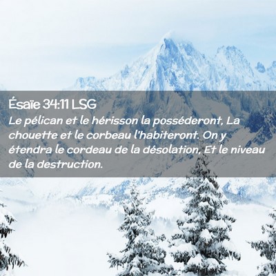 Picture 02 - Ésaïe 34:11 LSG - Le pélican et le hérisson la posséderont, La - Bible Verse Picture