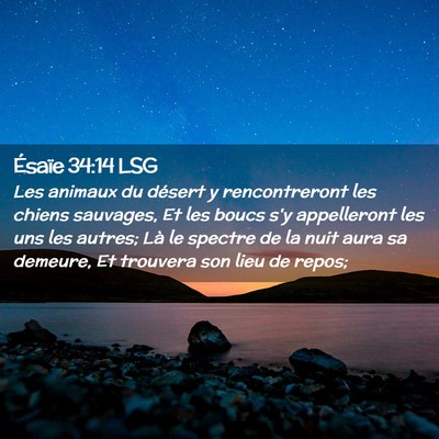 Picture 02 - Ésaïe 34:14 LSG - Les animaux du désert y rencontreront les chiens - Bible Verse Picture