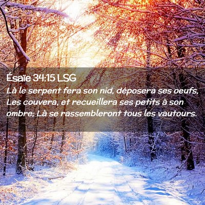Picture 02 - Ésaïe 34:15 LSG - Là le serpent fera son nid, déposera ses oeufs, - Bible Verse Picture