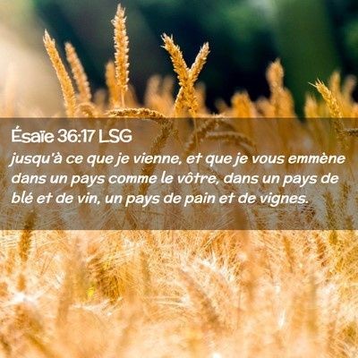 Picture 02 - Ésaïe 36:17 LSG - jusqu'à ce que je vienne, et que je vous emmène - Bible Verse Picture
