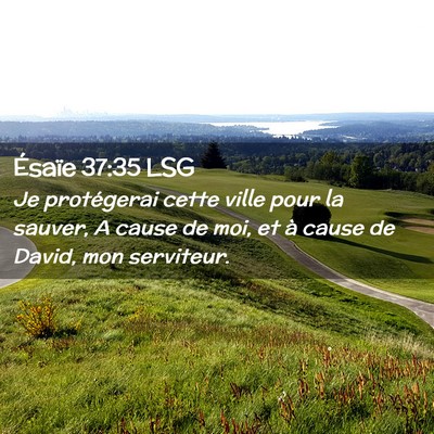 Picture 02 - Ésaïe 37:35 LSG - Je protégerai cette ville pour la sauver, A - Bible Verse Picture