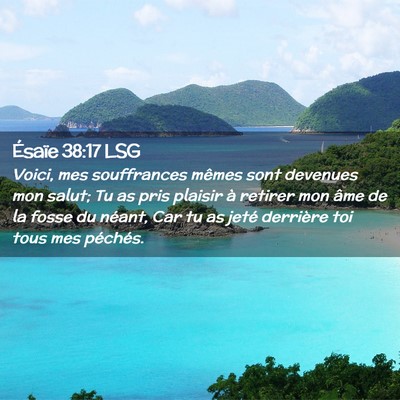 Picture 02 - Ésaïe 38:17 LSG - Voici, mes souffrances mêmes sont devenues mon - Bible Verse Picture