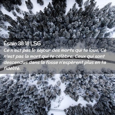 Picture 02 - Ésaïe 38:18 LSG - Ce n'est pas le séjour des morts qui te loue, Ce - Bible Verse Picture