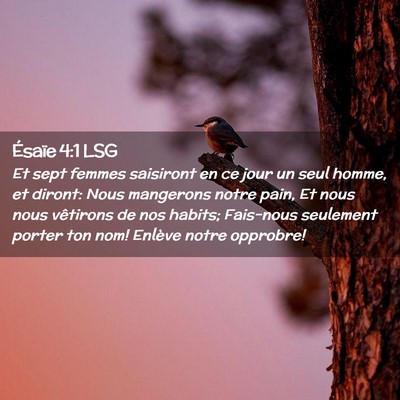 Picture 02 - Ésaïe 4:1 LSG - Et sept femmes saisiront en ce jour un seul - Bible Verse Picture