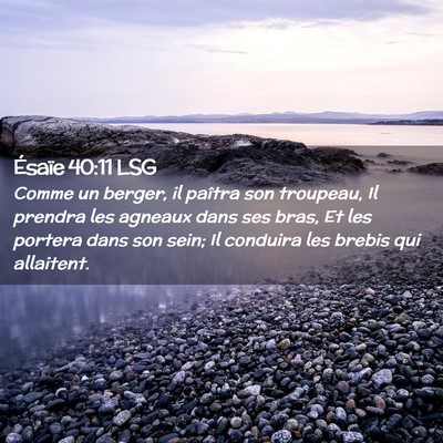 Picture 02 - Ésaïe 40:11 LSG - Comme un berger, il paîtra son troupeau, Il - Bible Verse Picture