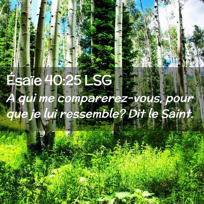 Picture 02 - Ésaïe 40:25 LSG - A qui me comparerez-vous, pour que je lui - Bible Verse Picture
