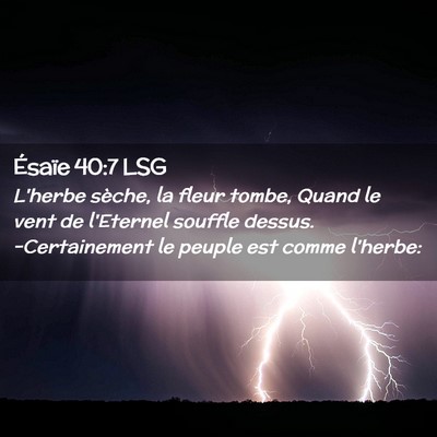 Picture 02 - Ésaïe 40:7 LSG - L'herbe sèche, la fleur tombe, Quand le vent de - Bible Verse Picture