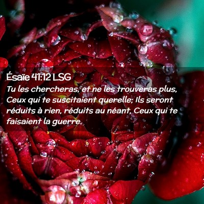 Picture 02 - Ésaïe 41:12 LSG - Tu les chercheras, et ne les trouveras plus, Ceux - Bible Verse Picture
