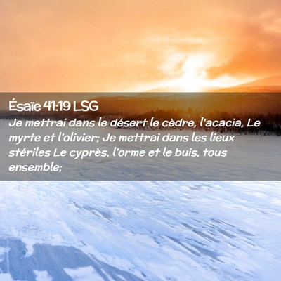 Picture 02 - Ésaïe 41:19 LSG - Je mettrai dans le désert le cèdre, l'acacia, - Bible Verse Picture