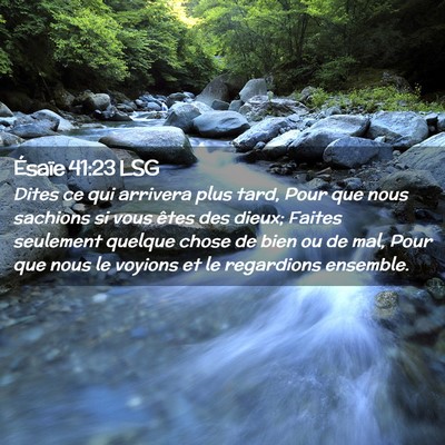 Picture 02 - Ésaïe 41:23 LSG - Dites ce qui arrivera plus tard, Pour que nous - Bible Verse Picture