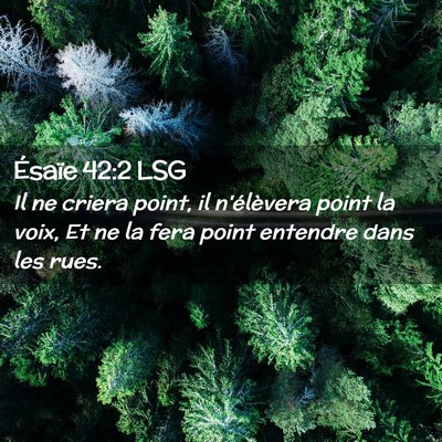 Picture 02 - Ésaïe 42:2 LSG - Il ne criera point, il n'élèvera point la voix, - Bible Verse Picture