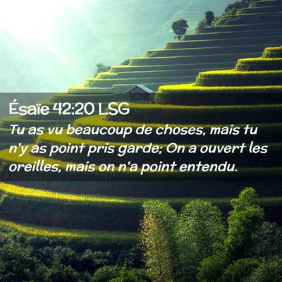 Picture 02 - Ésaïe 42:20 LSG - Tu as vu beaucoup de choses, mais tu n'y as point - Bible Verse Picture