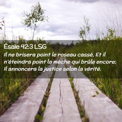 Picture 02 - Ésaïe 42:3 LSG - Il ne brisera point le roseau cassé, Et il - Bible Verse Picture