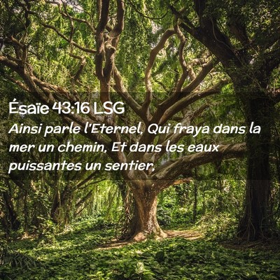 Picture 02 - Ésaïe 43:16 LSG - Ainsi parle l'Eternel, Qui fraya dans la mer un - Bible Verse Picture