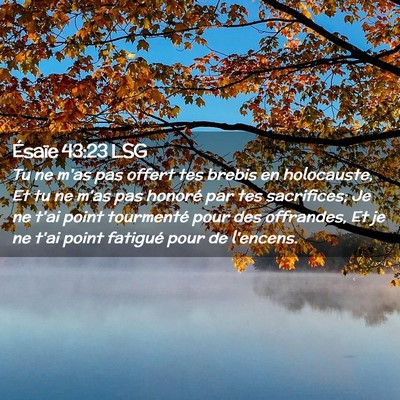 Picture 02 - Ésaïe 43:23 LSG - Tu ne m'as pas offert tes brebis en holocauste, - Bible Verse Picture