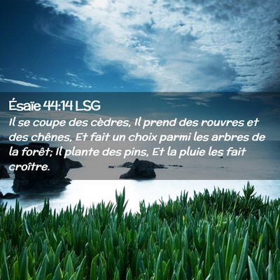 Picture 02 - Ésaïe 44:14 LSG - Il se coupe des cèdres, Il prend des rouvres et - Bible Verse Picture