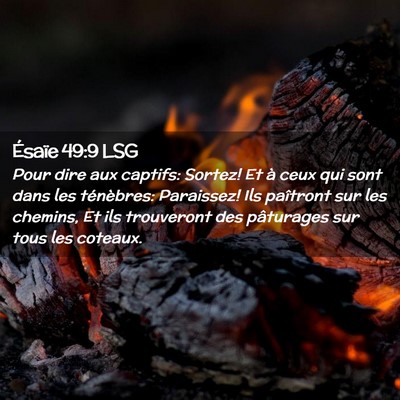 Picture 02 - Ésaïe 49:9 LSG - Pour dire aux captifs: Sortez! Et à ceux qui - Bible Verse Picture