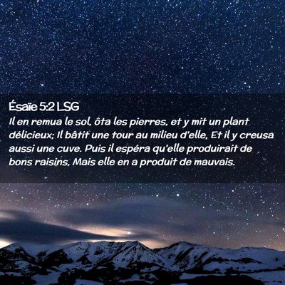 Picture 02 - Ésaïe 5:2 LSG - Il en remua le sol, ôta les pierres, et y mit un - Bible Verse Picture