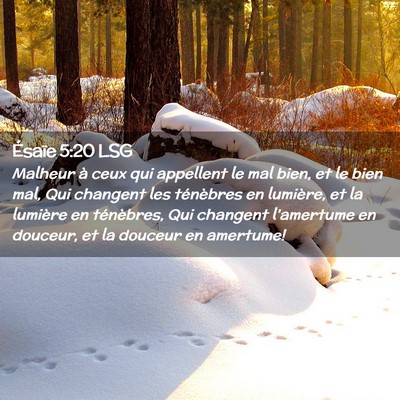 Picture 02 - Ésaïe 5:20 LSG - Malheur à ceux qui appellent le mal bien, et le - Bible Verse Picture