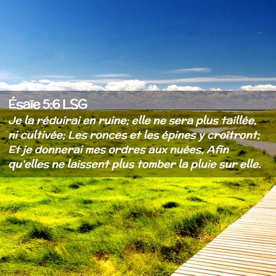 Picture 02 - Ésaïe 5:6 LSG - Je la réduirai en ruine; elle ne sera plus - Bible Verse Picture
