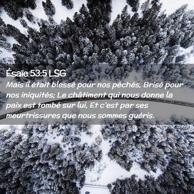 Picture 02 - Ésaïe 53:5 LSG - Mais il était blessé pour nos péchés, Brisé - Bible Verse Picture