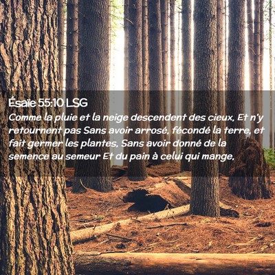 Picture 02 - Ésaïe 55:10 LSG - Comme la pluie et la neige descendent des cieux, - Bible Verse Picture