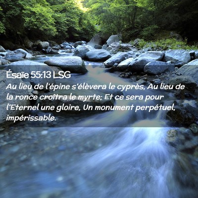 Picture 02 - Ésaïe 55:13 LSG - Au lieu de l'épine s'élèvera le cyprès, Au - Bible Verse Picture