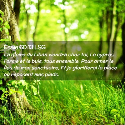 Picture 02 - Ésaïe 60:13 LSG - La gloire du Liban viendra chez toi, Le cyprès, - Bible Verse Picture