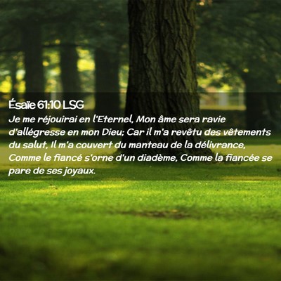 Picture 02 - Ésaïe 61:10 LSG - Je me réjouirai en l'Eternel, Mon âme sera - Bible Verse Picture
