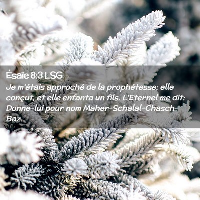 Picture 02 - Ésaïe 8:3 LSG - Je m'étais approché de la prophétesse; elle - Bible Verse Picture