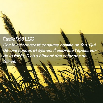 Picture 02 - Ésaïe 9:18 LSG - Car la méchanceté consume comme un feu, Qui - Bible Verse Picture